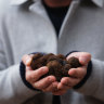 It’s truffle season in WA.