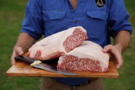 Aussie beef seen for less money in Japan than at Coles & Woolies