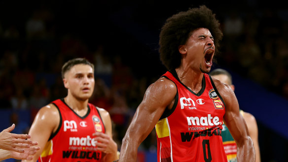 The Perth Wildcats could be sold.