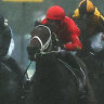 Emirate (second from left) revels in the going at a gloomy Rosehill on Saturday.