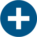 Healthcare Access Icon