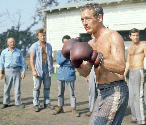 cool hand luke boxing