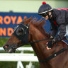 Alysha Collett gives Mnementh a pat after winning the Bob Charley Stakes.