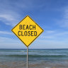 Sydney beaches closed after swimmer flouted social distancing rules. 