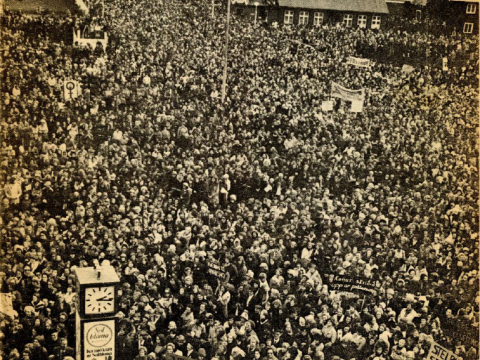 A huge crowd of women taking part in a general strike in Iceland