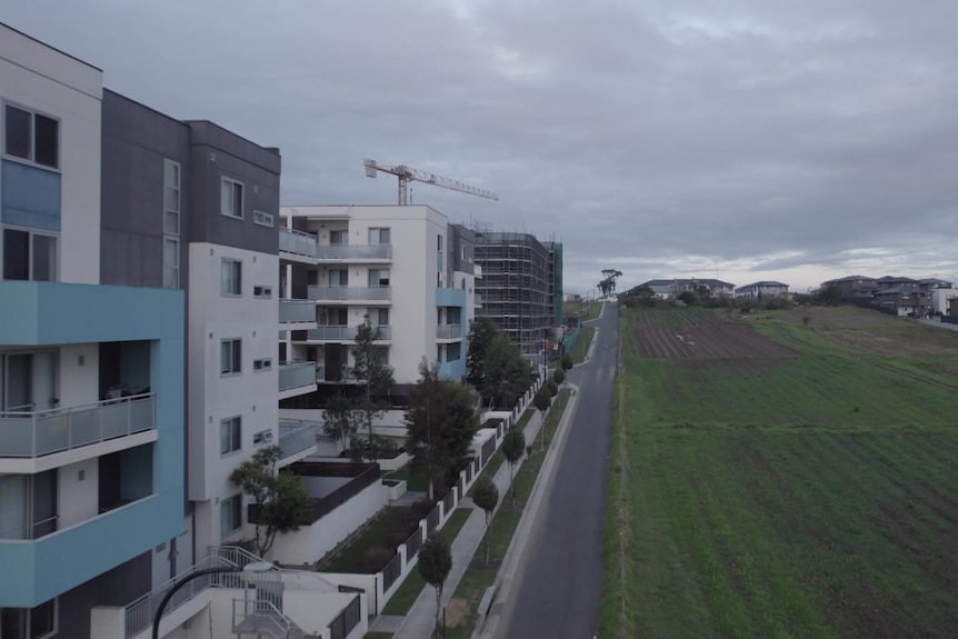 A drone shot of housing development and green pastures, divided by a single road.