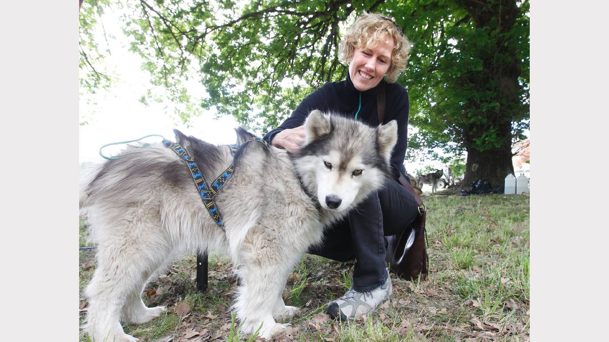 Kate Newton, of the Buckland Valley, took an opportunity to meet dog Koda from the Australian Sleddog Tour.