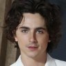 Timothée Chalamet, Josh O’Connor and Jeremy Allen White have been labelled as ‘hot rodent boyfriends’ by the internet.