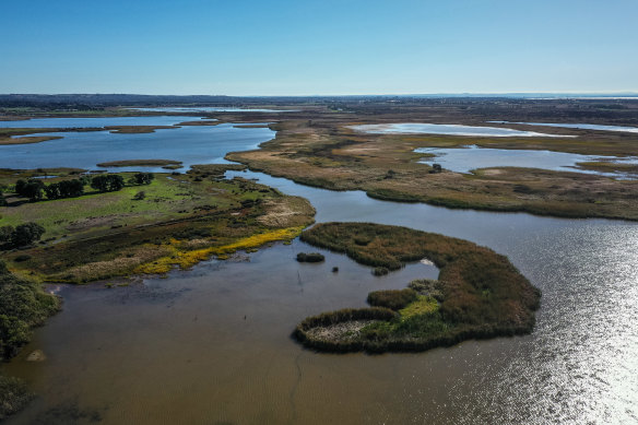 Bird haven: Lake Connewarre.