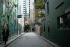 The CBD’s ‘green’ laneways were meant to look like this. The reality is quite different