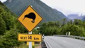 New Zealand considers 120km/h speed limit