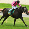 Old mates Collett and Cameron chase sweetest of wins with Elouyou