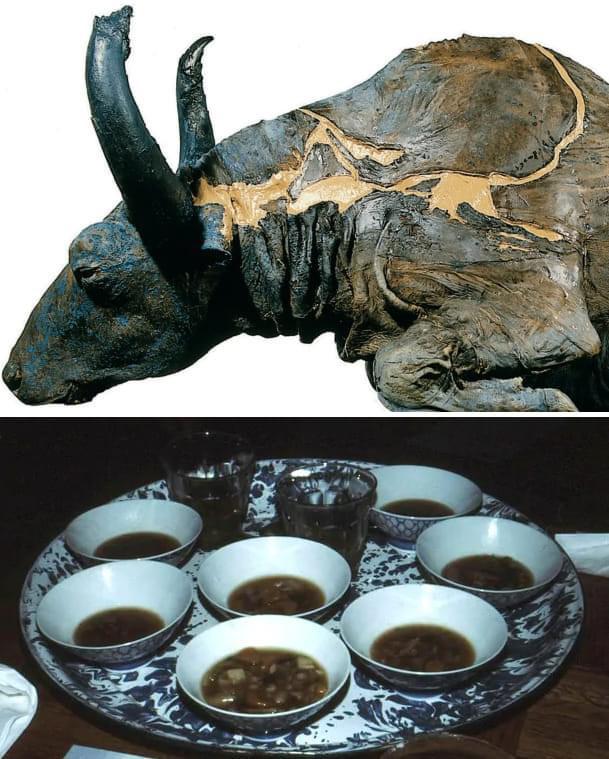 r/Damnthatsinteresting - A preserved 50,000-year-old steppe bison, was accidentally found by a gold miner in Alaska in 1979. Researchers decided to cook and eat a part of its neck muscle. The actual stew is shown on the bottom picture.