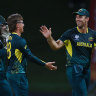 Adam Zampa celebrates a wicket with Matthew Wade, left, and Mitchell Marsh, right.