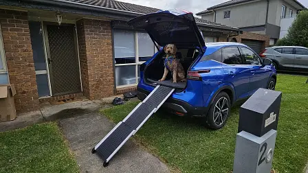 This small SUV was surprisingly perfect for my three dogs