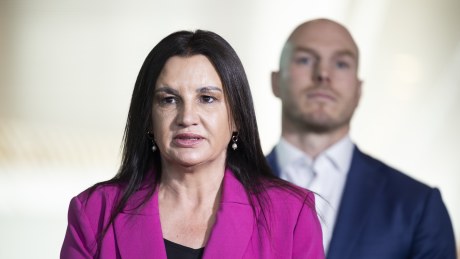 Jacqui Lambie and David Pocock are opposed to taxing unrealised gains.