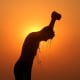 A laborer is silhouetted against the setting sun as he bathes on a hot summer day in Jammu