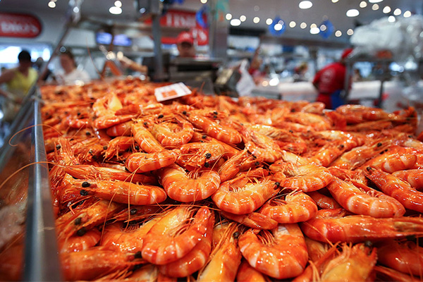 Safeguarding the prawn industry