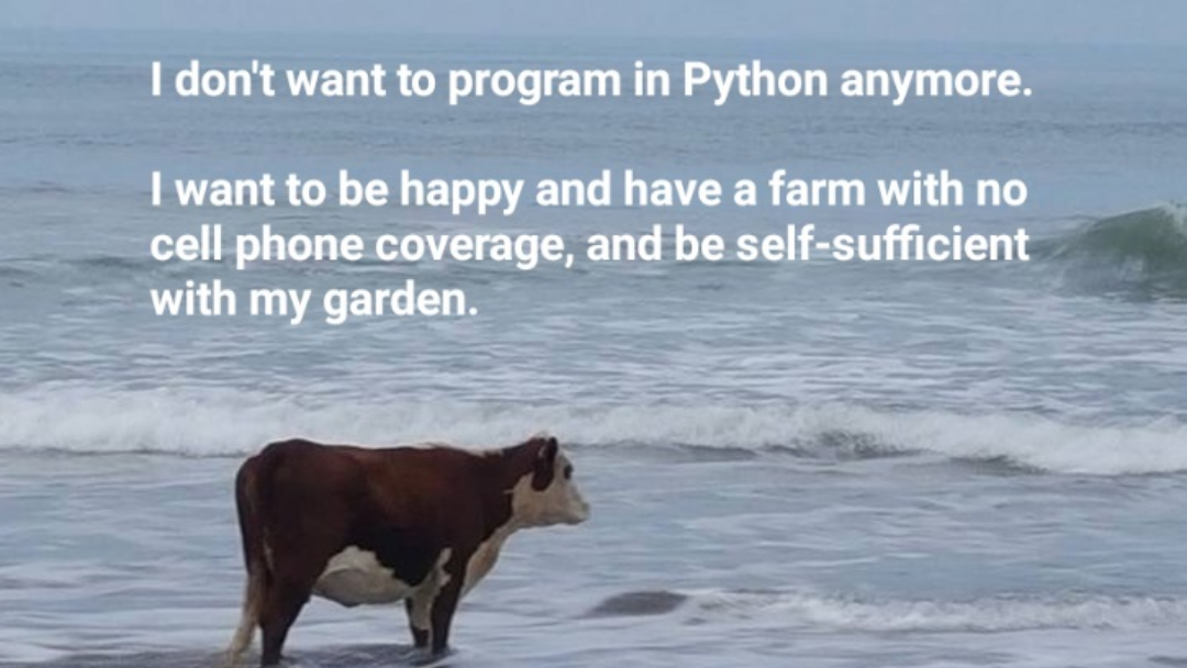 r/ProgrammerHumor - noMorePythonFarmerDream