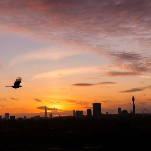 The view from Primrose Hill