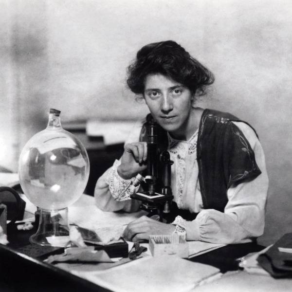 Marie Stopes