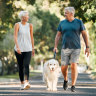 Walking can help strengthen the muscle groups that help stabilise the spine, primarily your core muscles.