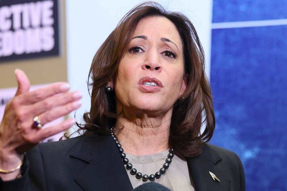 Vice President Kamala Harris is the obvious choice to replace Joe Biden, but the party may opt for someone else.