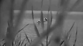 Ukrainian soldiers swim across Dnieper River to surrender to Russia (VIDEO)