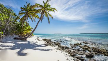 Palm trees, white beach and turquoise sea in the inner lagoon  of Cocos keeling atoll, Australia, Indian Ocean