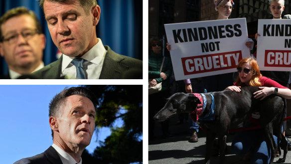 Former premier Mike Baird, NSW premier Chris Minns and the protests from 2016.