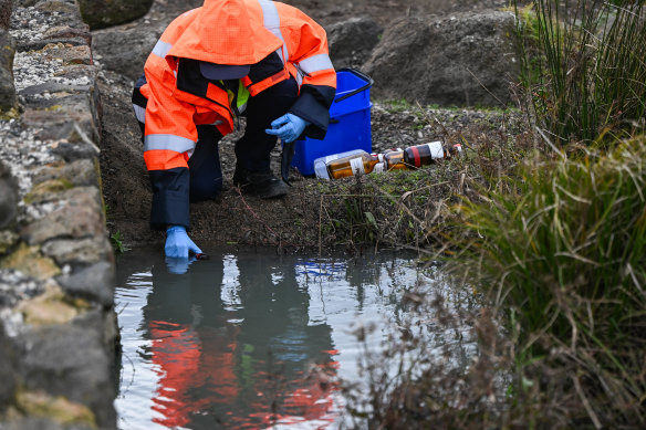 An EPA worker on Thursday testing a creek that runs through the Mt Derrimut golf course after the blaze.