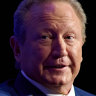 Fortescue Metals Group chairman Andrew Forrest.