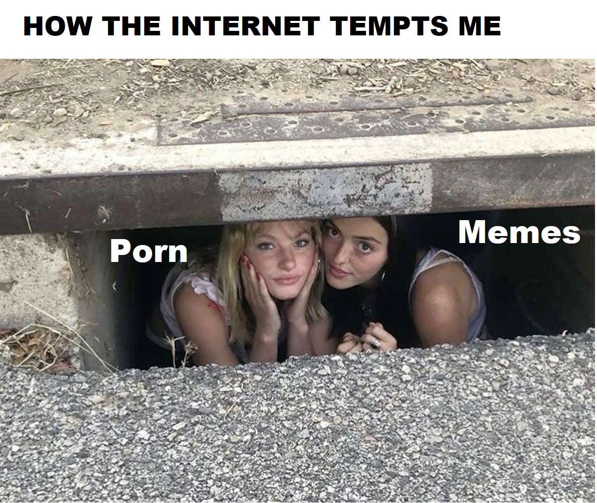 r/memes - Internet for me.