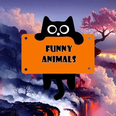 r/FunnyAnimals icon