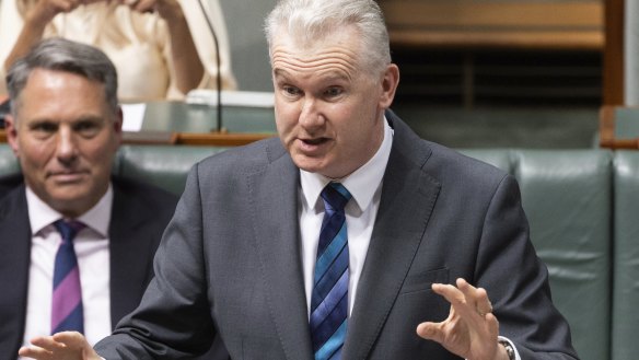 Workplace Relations Minister Tony Burke is weighing up federal interventions including deregistering the CFMEU’s construction division or appointing an external administrator.