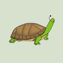 r/turtle icon