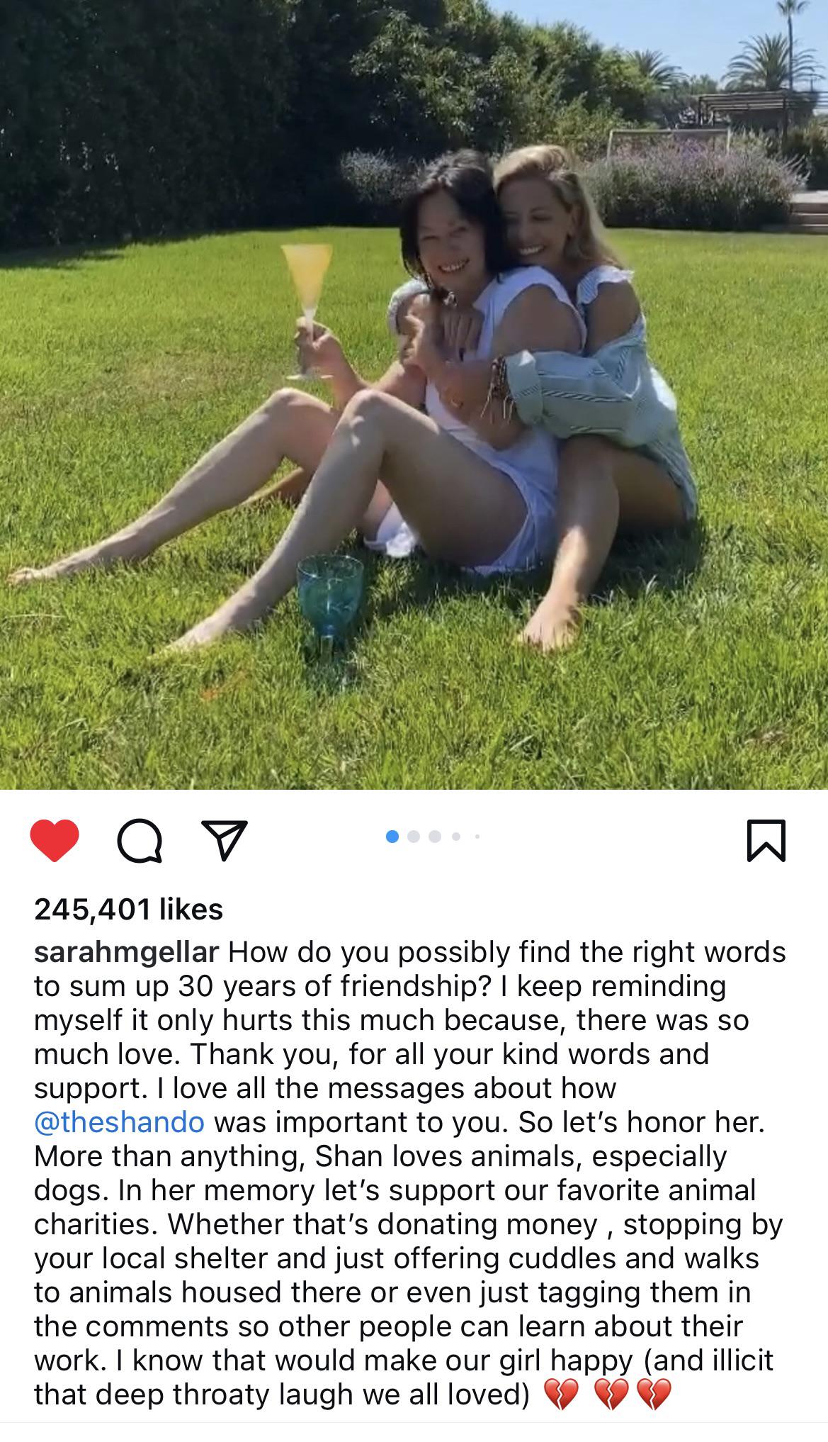 r/popculturechat - Sarah Michelle Gellar encourages followers to support animal charities in Shannen Doherty’s memory.