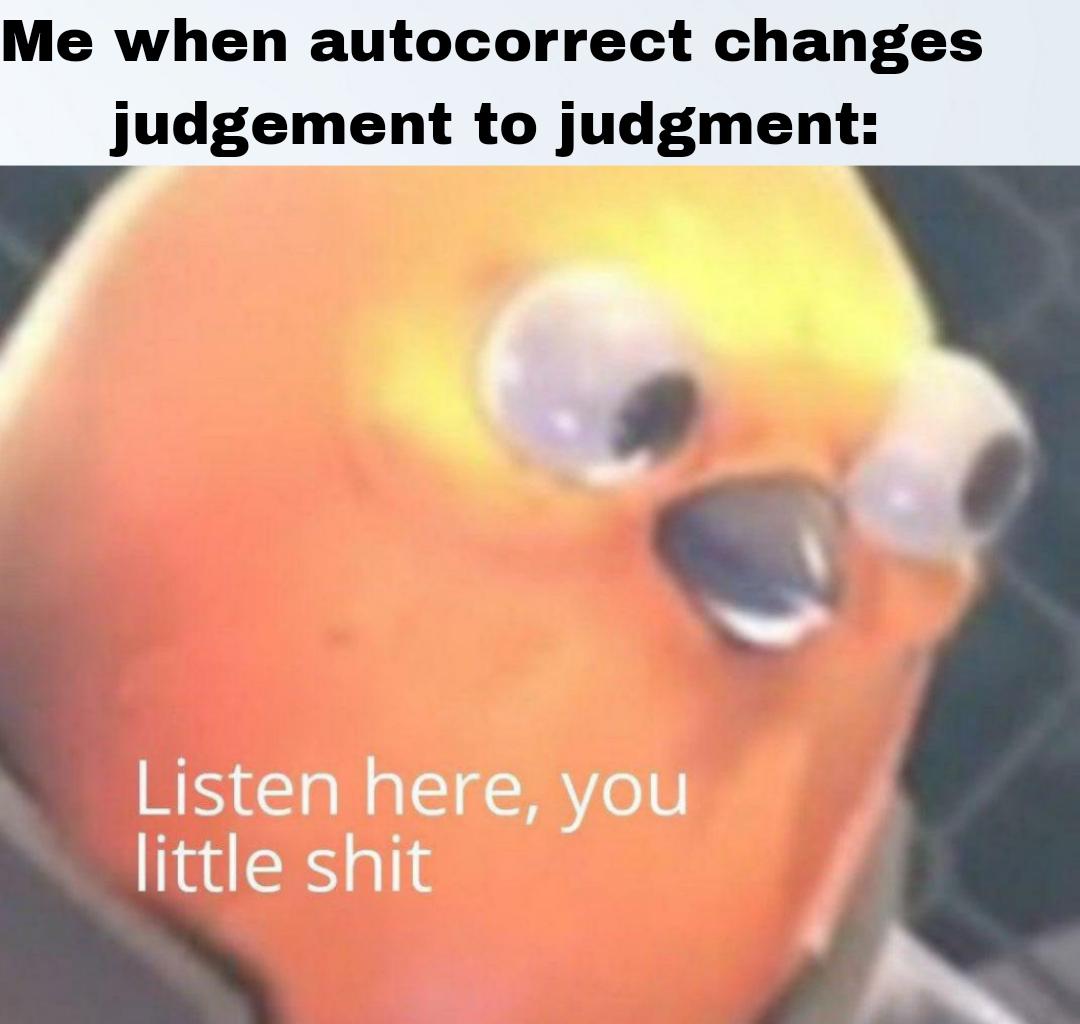 r/memes - There's an E in judgement and a U in favour. I will not change my mind.