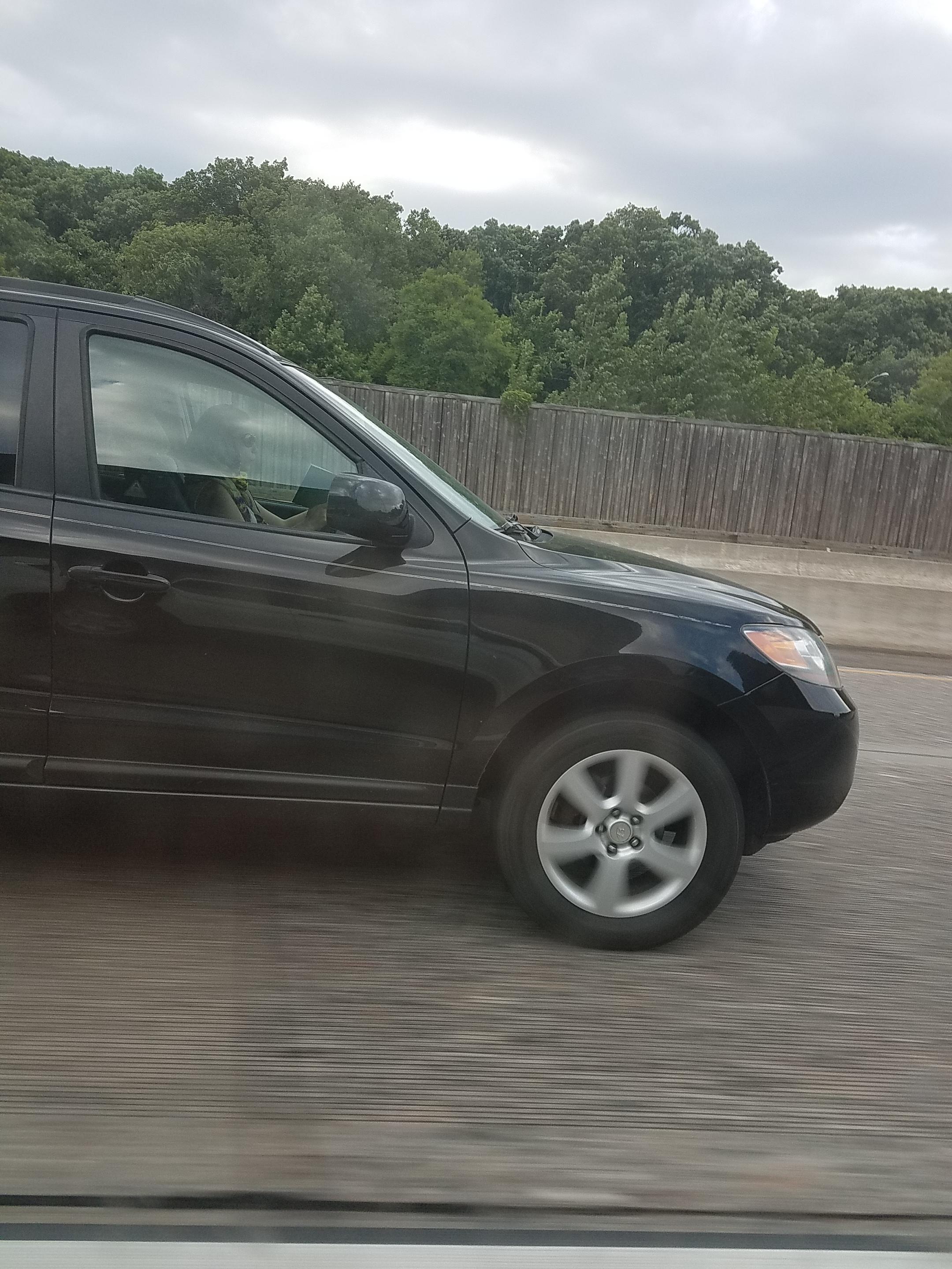 r/IdiotsInCars - Ever read a book so good you couldn't put it down?