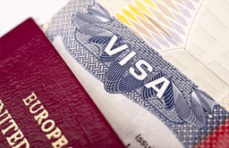 r/ukvisa icon