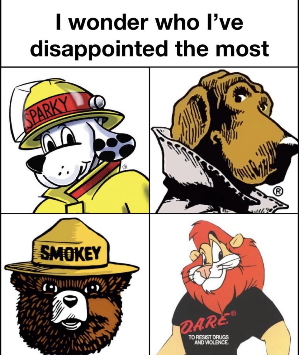 r/memes - I wonder who is the most disappointed with me.