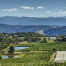 Batlow is famous for its apple orchards.