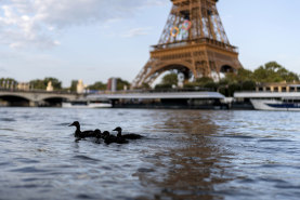 Ducks swim along the Seine River in front of the Eiffel Tower during the 2024 Summer Olympics.