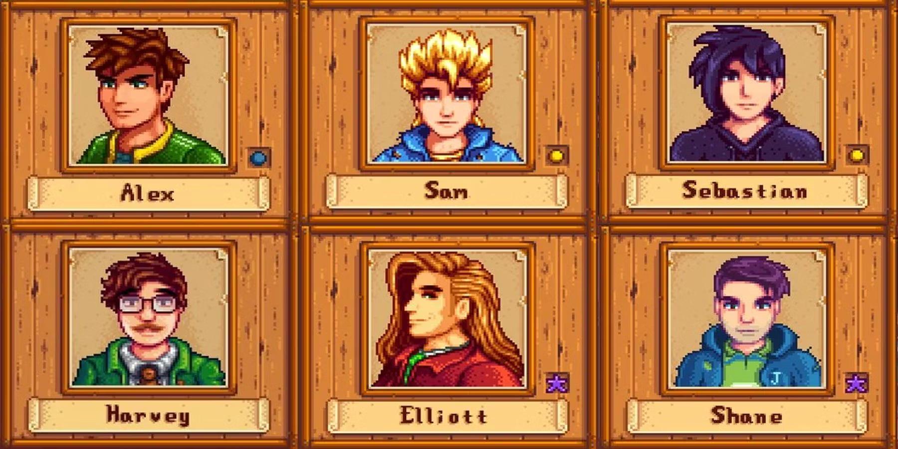 r/StardewValley - Who Is The Most Attractive Bachelor?