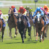 Canterbury will host an eight-race meeting on Wednesday.