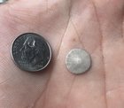 r/mildlyinteresting - Found the tiniest Sand Dollar today (dime for scale)