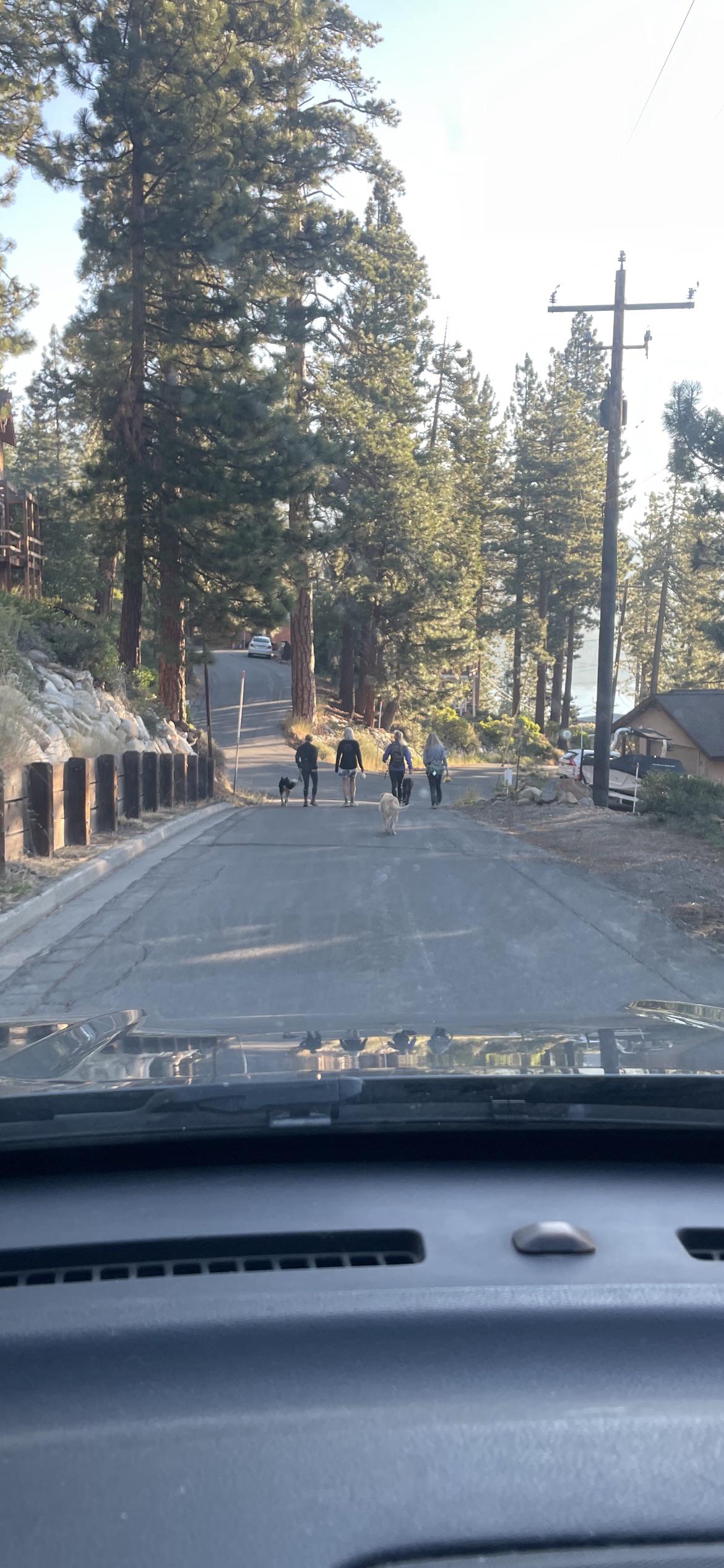 r/mildlyinfuriating - These folks walk four across every morning and don’t check behind for cars