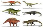 r/Paleontology - Name your favorite (non dinosaurian) group of extinct land animals mine are psuedosuchians 