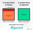 r/algorand - A random block on Solana vs. Algorand