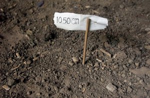 A stick and small measurement sign mark the place where scientists recently found the skull and bones of a new human dwarf species, Sunday, Nov. 28, 2004, in Flores, Indonesia. An Indonesian-Australian team of archaeologists announced recently this human dwarf species lived alongside Homo sapiens on the island until 12,000 years ago. The stunning archaeological find deep in a limestone cave on Flores Island in a remote eastern corner of Indonesia, means skeptics may now have to take the tales of the Ebu Gogo more serio